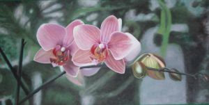 Voir le détail de cette oeuvre: orchidee.dennico